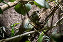 %_tempFileNameRSC_7901_reptilium_landau_klein%