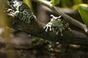 %_tempFileNameRSC_7968_reptilium_landau_klein%