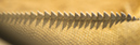 %_tempFileNameRSC_8200_reptilium_landau_klein%